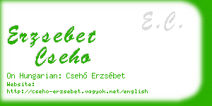erzsebet cseho business card